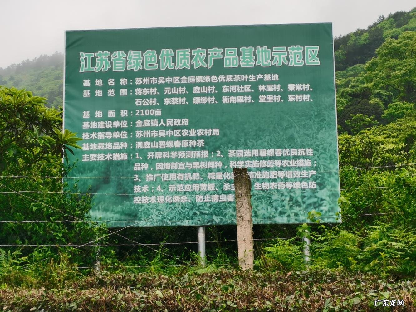 碧螺春产自哪里蚂蚁庄园 碧螺春原产地在哪里