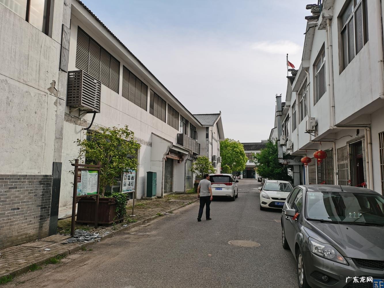 碧螺春产自哪里蚂蚁庄园 碧螺春原产地在哪里