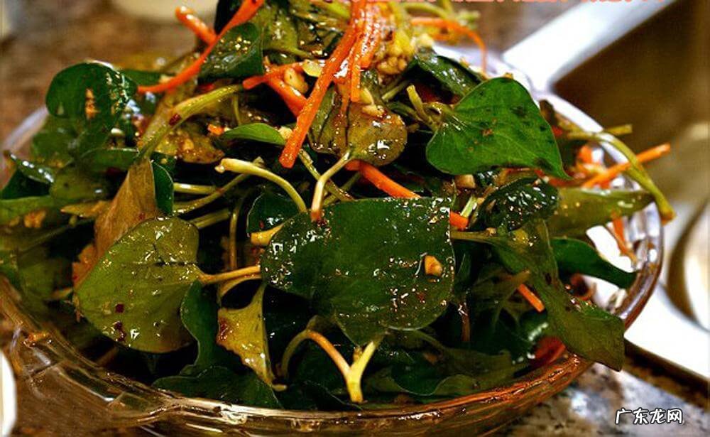 鱼腥草泡水喝有什么功效 鱼腥草的吃法大全