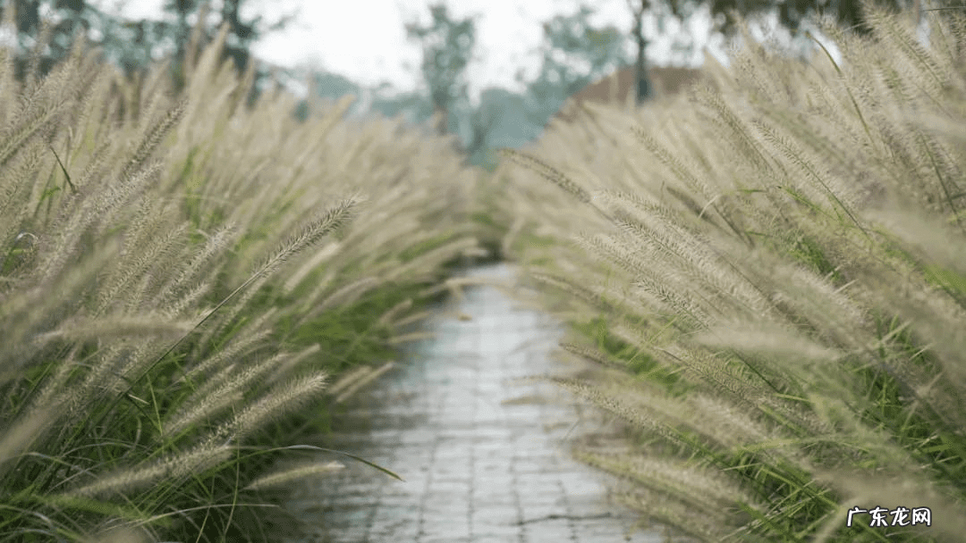 玉山三和园还是状元府好 玉山息园风水