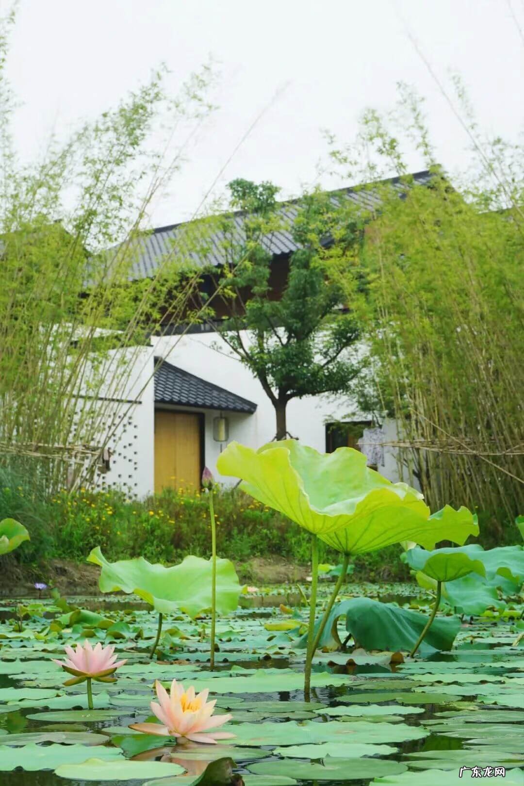 玉山三和园还是状元府好 玉山息园风水