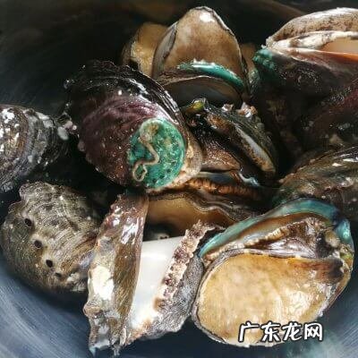 家常红烧鲍鱼的做法 鲍鱼的做法红烧鱼的做法