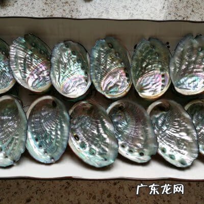 家常红烧鲍鱼的做法 鲍鱼的做法红烧鱼的做法