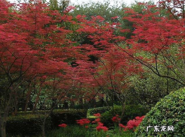 南京城风水 南京风水最好的地方