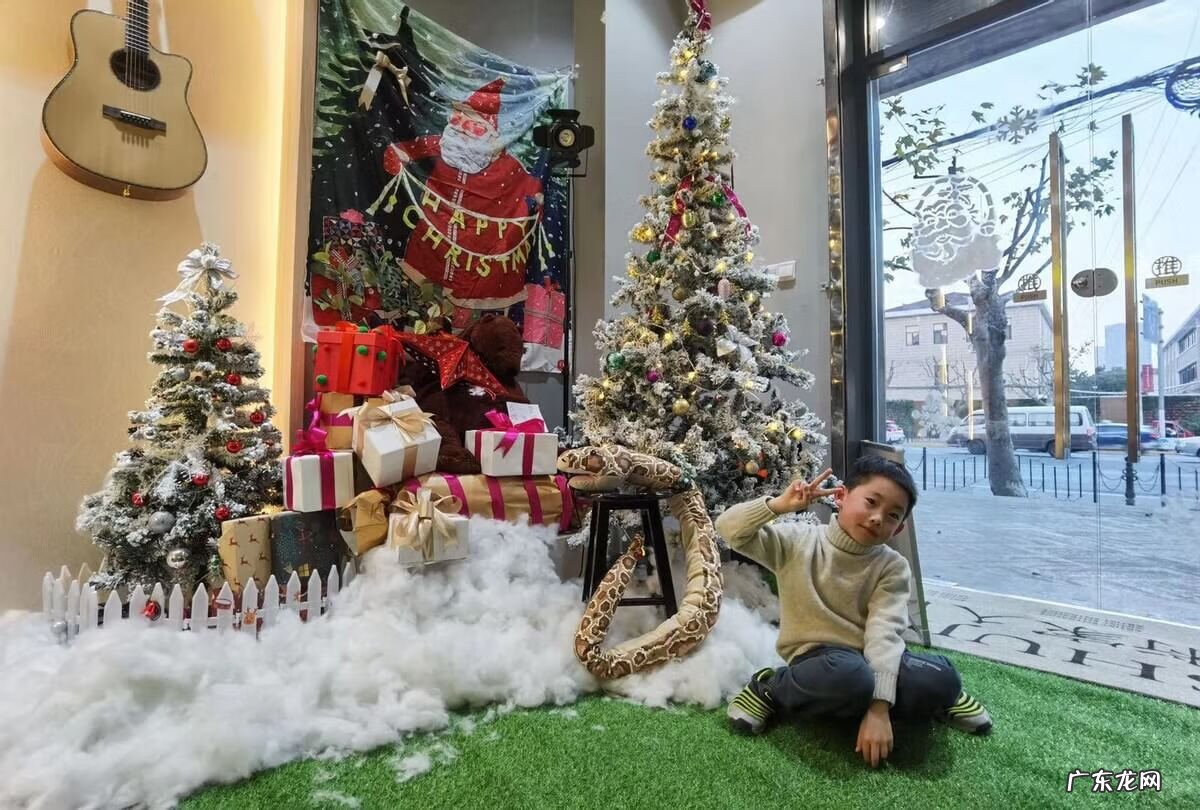 学乐器的意义所在 学乐器去哪里找培训班