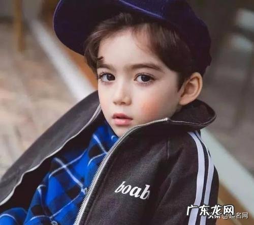 鸿鹄之志的意思解释 当有鸿鹄之志是什么意思