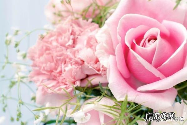 99朵玫瑰代表什么意思，玫瑰花语，花点心思吧？