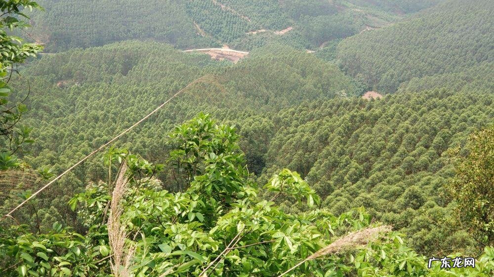 宾阳县和吉镇 宾阳巨头岭风水宝地