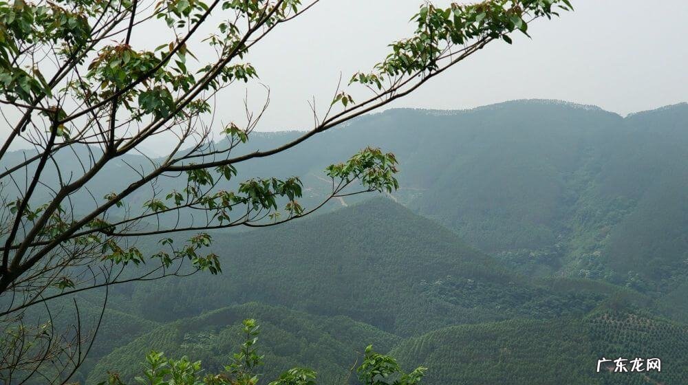 宾阳县和吉镇 宾阳巨头岭风水宝地