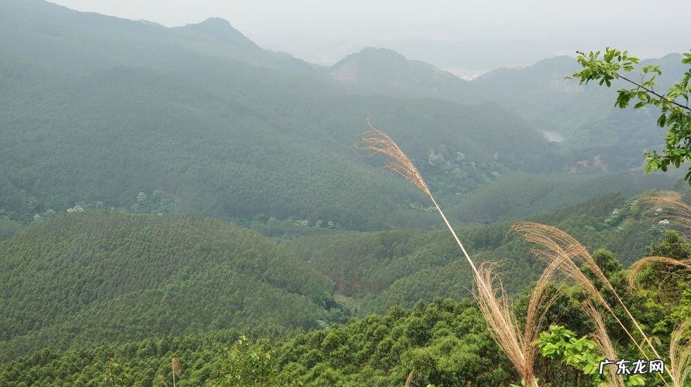宾阳县和吉镇 宾阳巨头岭风水宝地