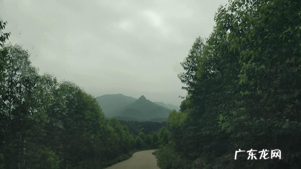 宾阳县和吉镇 宾阳巨头岭风水宝地