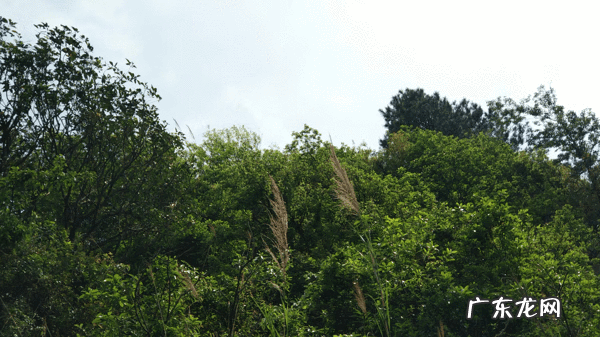 宾阳县和吉镇 宾阳巨头岭风水宝地