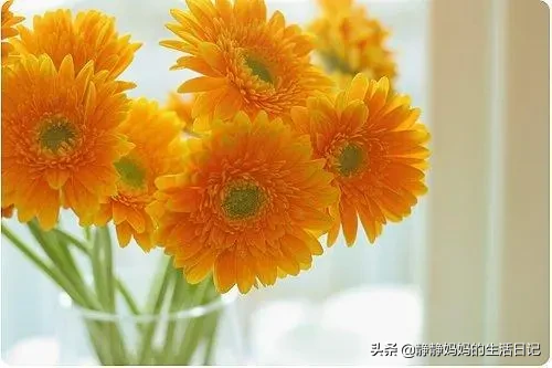 句句戳心,值得你深思的经典语录有哪些?