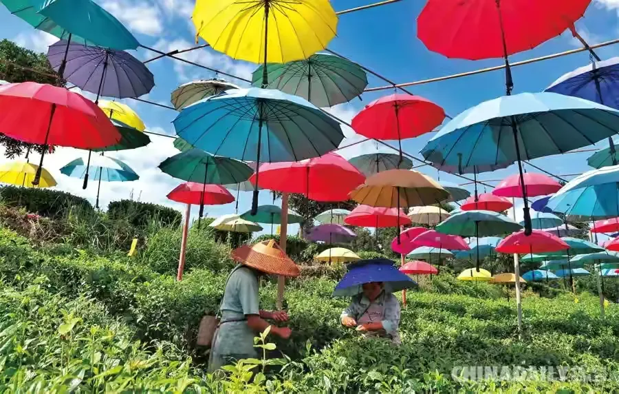 人都是好逸恶劳吗?