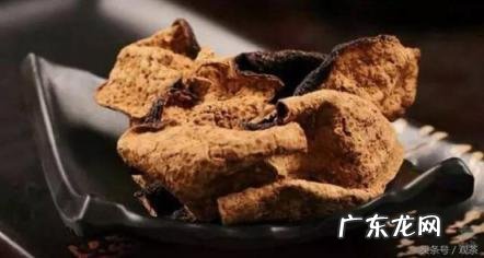 陈皮茶的功效与作用有哪些 蒲公英陈皮茶什么人不能喝