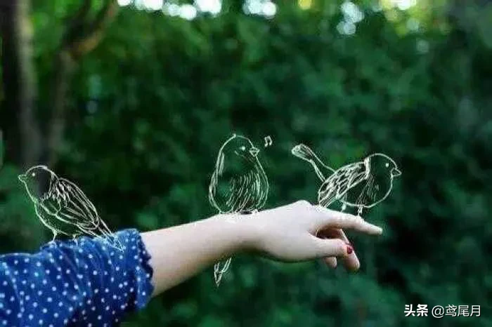 80后的伙伴们,还记得用qq聊天的哪些美好记忆?