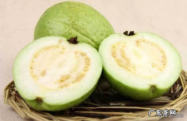 番石榴是直接吃吗 番石榴怎么吃好吃