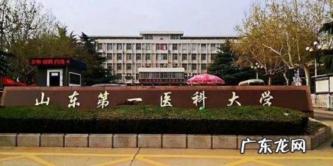 全国大学面积排名 中国十大面积最大大学排名最新