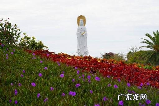 分界洲岛门票价格60岁以上 分界洲岛景区门票多少钱