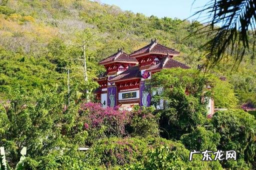 分界洲岛门票价格60岁以上 分界洲岛景区门票多少钱