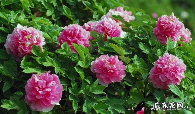 你读过的人物传记中哪几本最好?请推荐四至十本?