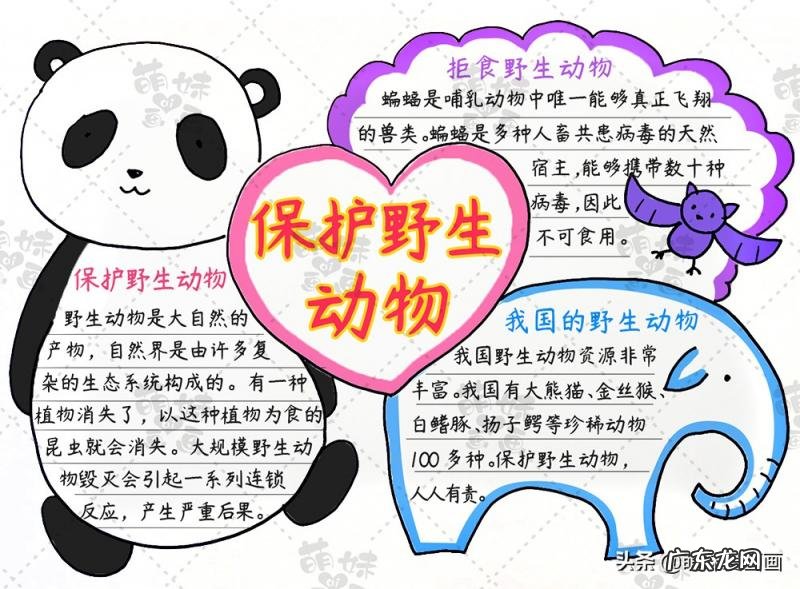 保护野生动物手抄报内容 保护野生动物手抄报内容英语