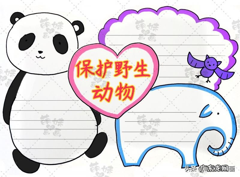 保护野生动物手抄报内容 保护野生动物手抄报内容英语