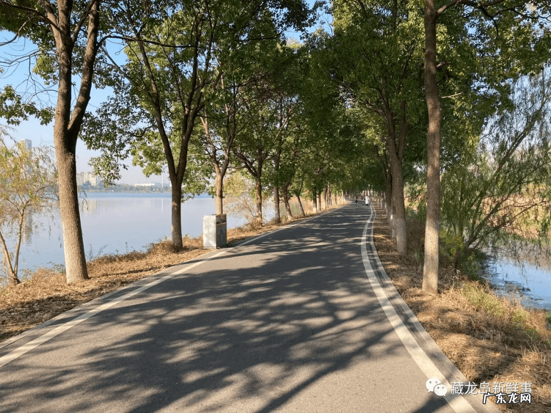 江夏区藏龙岛重大项目 江夏藏龙岛附近有什么好玩的