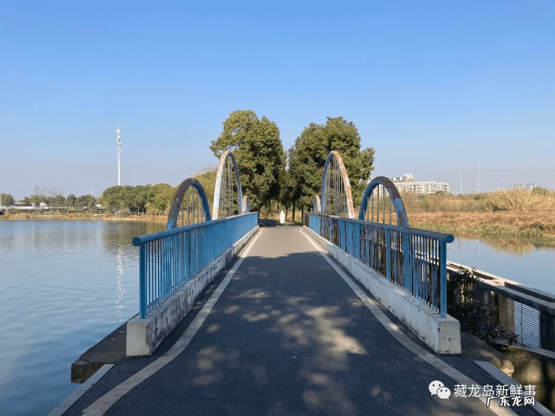 江夏区藏龙岛重大项目 江夏藏龙岛附近有什么好玩的