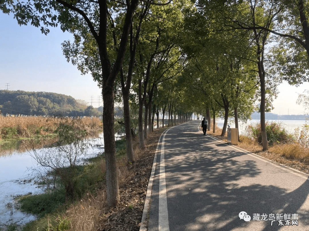 江夏区藏龙岛重大项目 江夏藏龙岛附近有什么好玩的