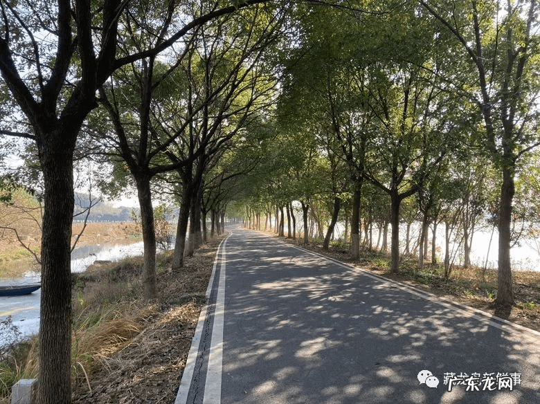 江夏区藏龙岛重大项目 江夏藏龙岛附近有什么好玩的