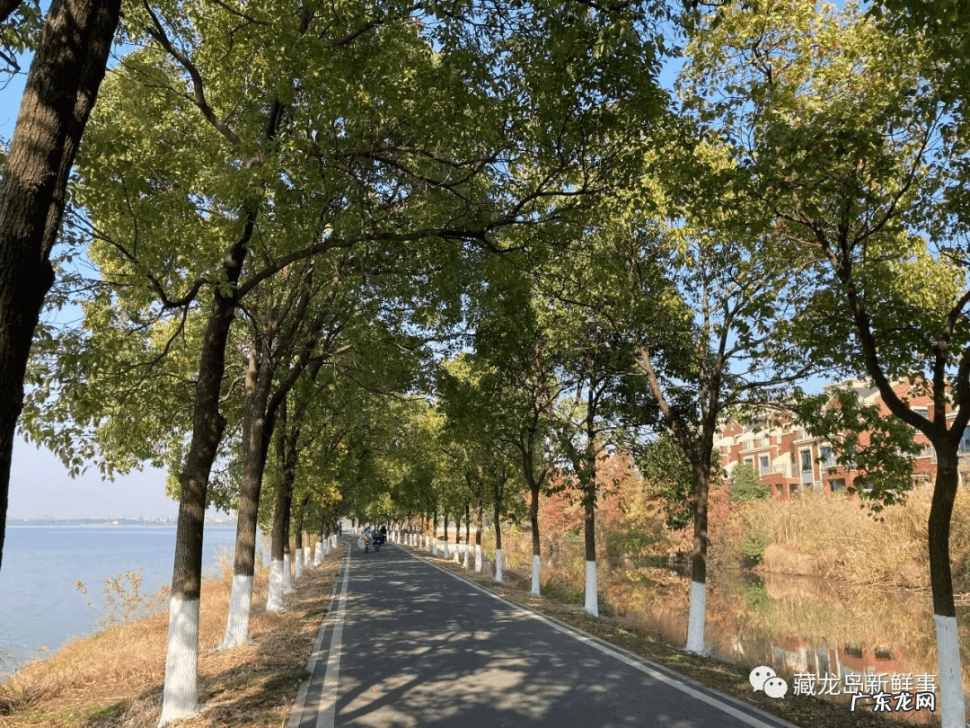 江夏区藏龙岛重大项目 江夏藏龙岛附近有什么好玩的