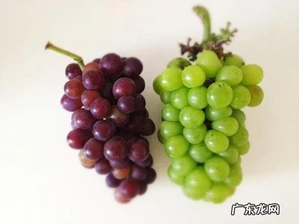 上海土特产都有些什么 上海最有名的土特产