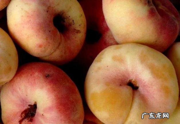 上海土特产都有些什么 上海最有名的土特产