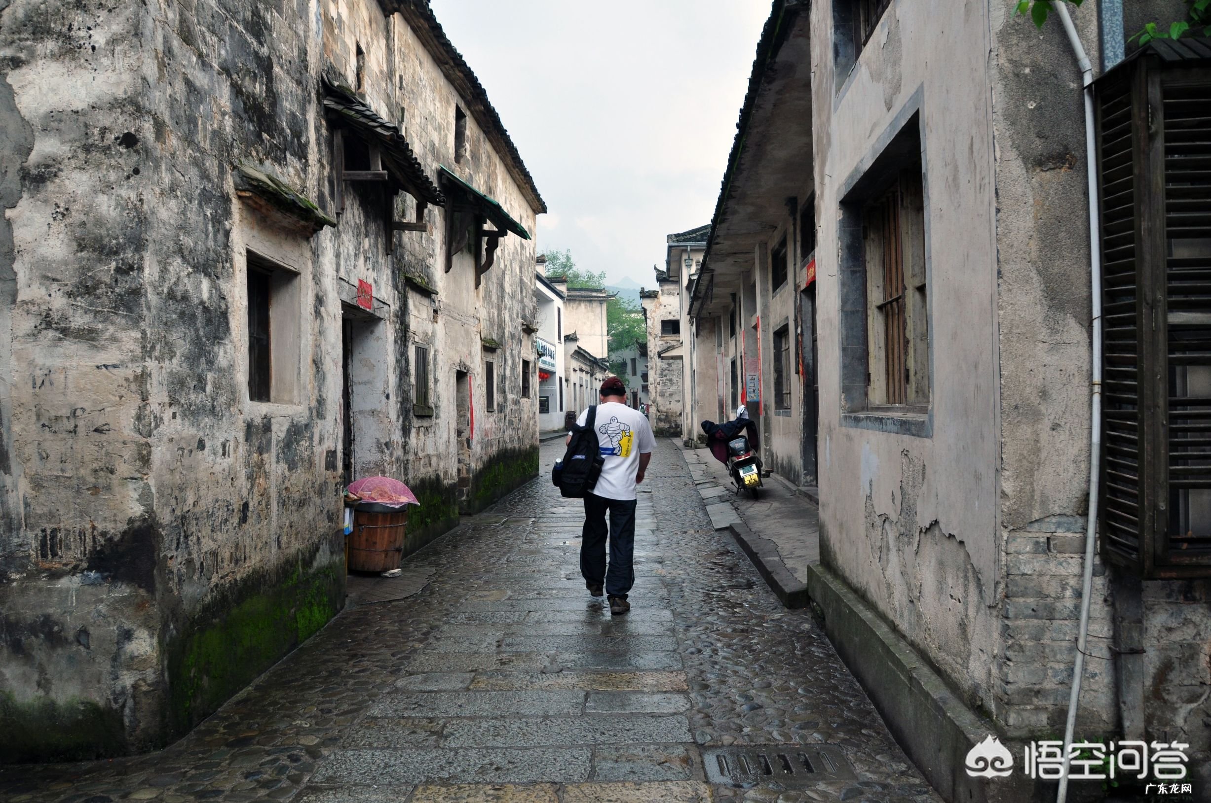 五一这个时候,最适合去哪里玩?