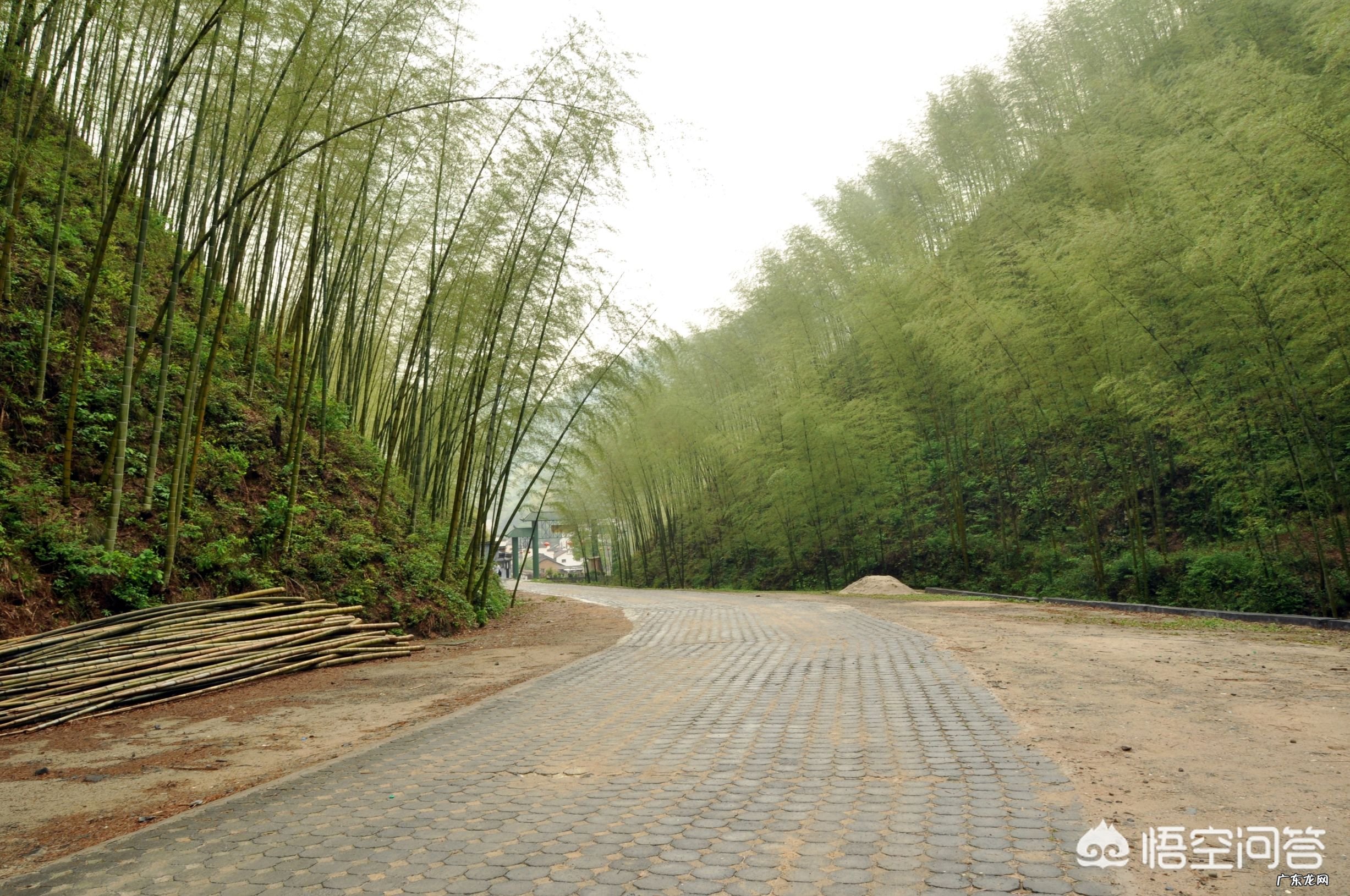 五一这个时候,最适合去哪里玩?