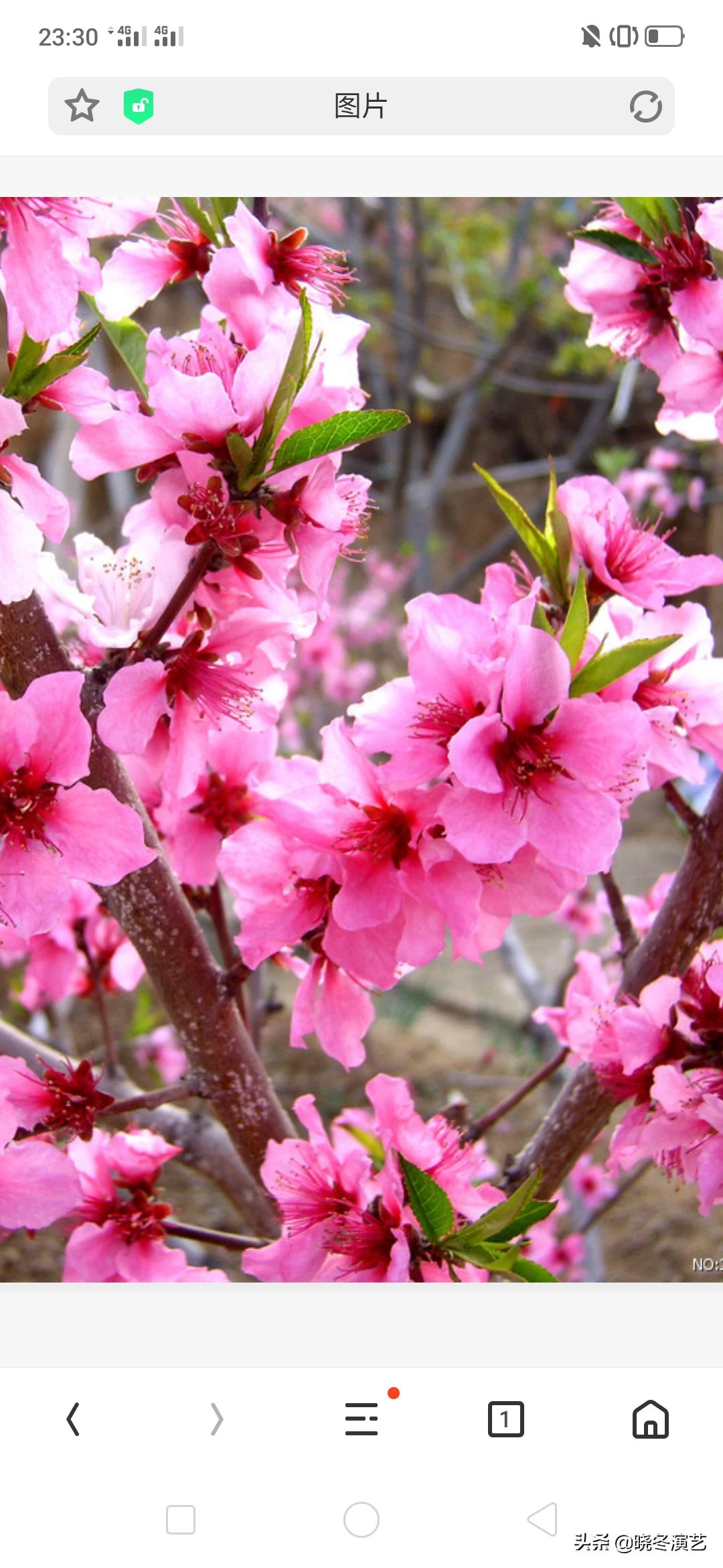 夏天就快过去了，能说一件让你特别难忘的，在夏天发生的故事吗？