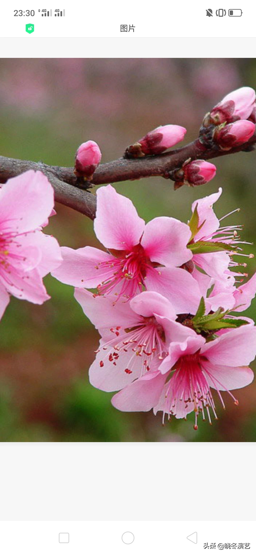 夏天就快过去了,能说一件让你特别难忘的,在夏天发生的故事吗?