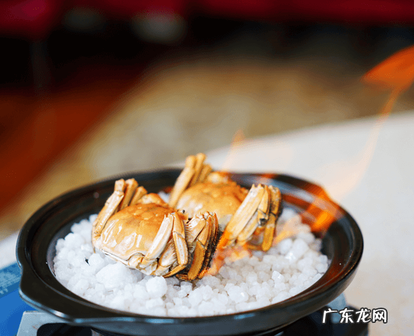 2月大闸蟹公的好还是母蟹好 大闸蟹公的好还是母的好?