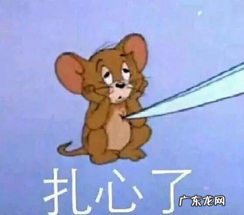 耗子尾汁儿是什么意思? 耗子尾汁药用