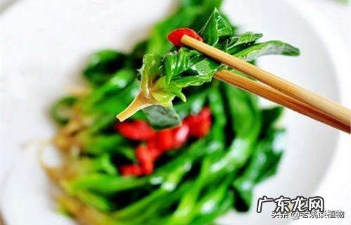 农村满地的车前草有什么营养保健作用，可以做成什么美食吗？