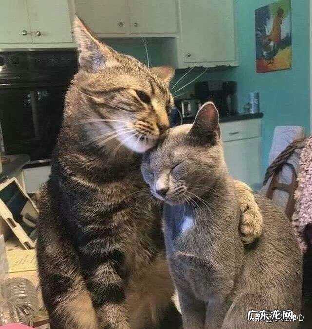 为什么有些女人爱干家务?