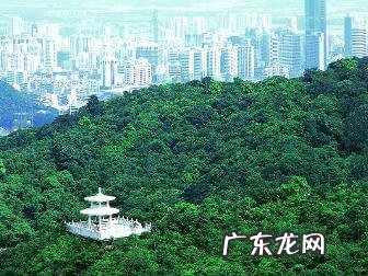 广州风水布局 广州风水王城