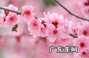 云台山在哪个省哪个市哪个县 云台山是哪个县的