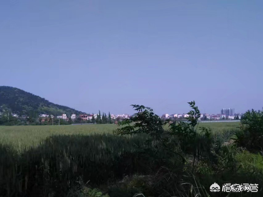 今天是愚人节,大家都是怎么愚弄朋友的,还是被愚弄?