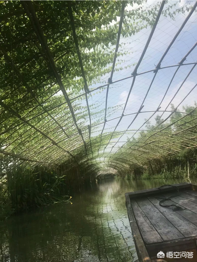 今天是愚人节,大家都是怎么愚弄朋友的,还是被愚弄?