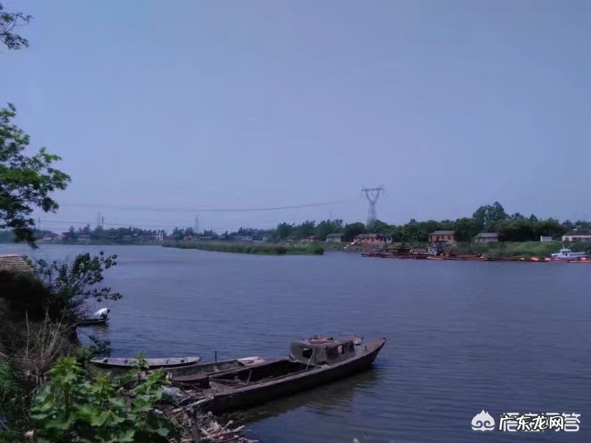 今天是愚人节，大家都是怎么愚弄朋友的，还是被愚弄？