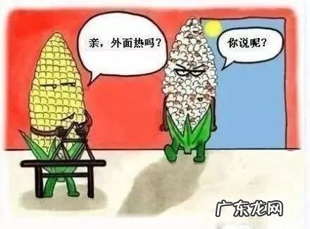 大暑节气的含义是什么意思 大暑本意是啥