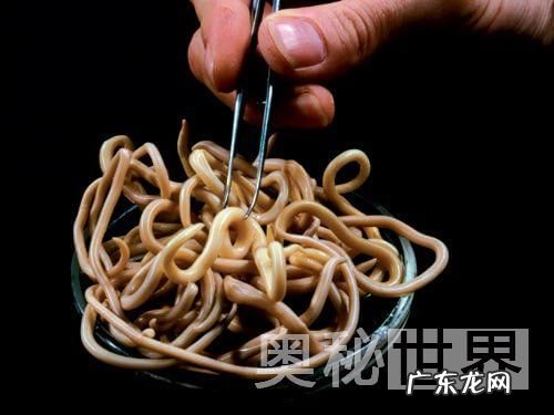 人体寄生虫图片 人体寄生虫有哪些