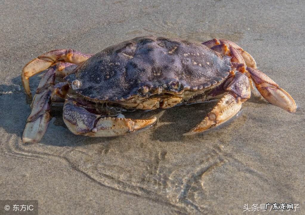 风水先生为什么不给自己看 风水先生给恶霸看风水